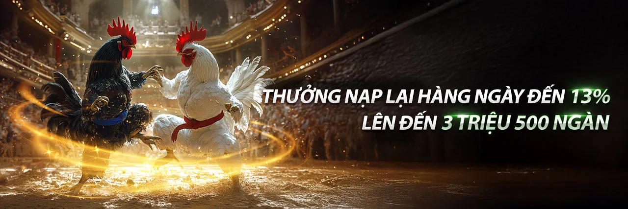 Hình ảnh đại diện Điều khoản và Điều kiện huno90 nhà cái